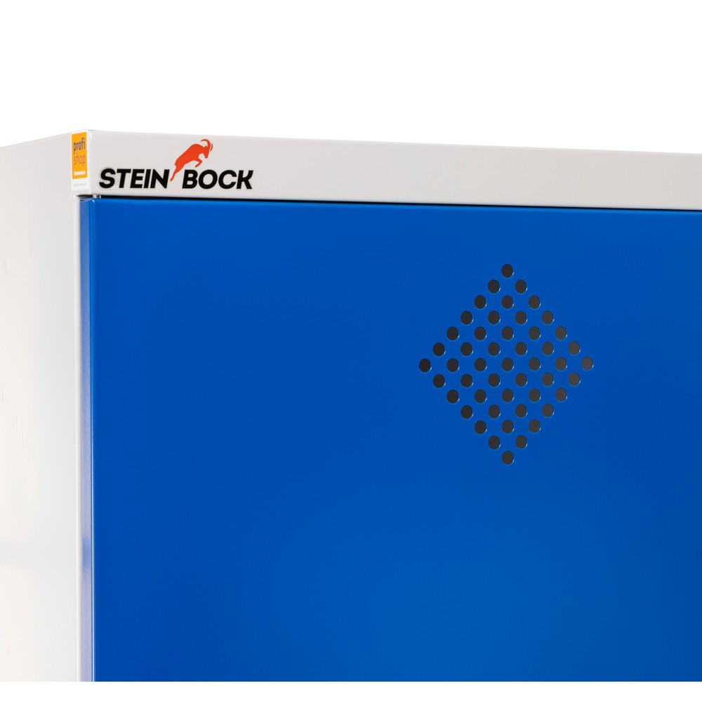 Číslo obrázku produktu 4: Steinbock® Chemická a toxická skříň, 4 vany, VxŠxH 1 950 x 1 200 x 500 mm